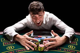 k5bet com